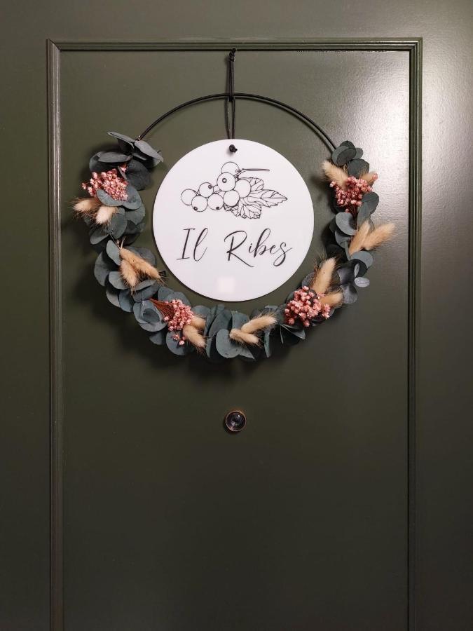 Residence Dei Frutti Pieno Centro - Il Ribes ปาโดวา ภายนอก รูปภาพ